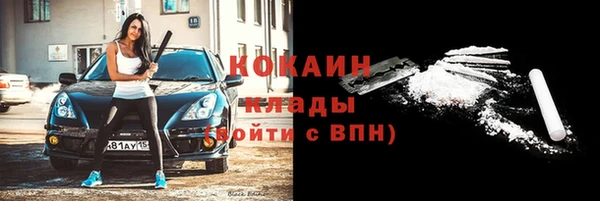 хмурый Белокуриха