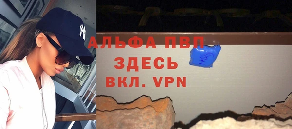 хмурый Белокуриха