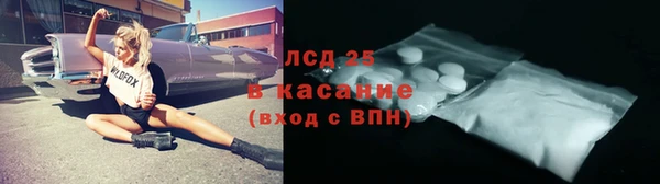 хмурый Белокуриха
