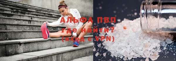 хмурый Белокуриха